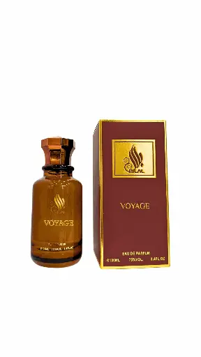 VOYAGE
